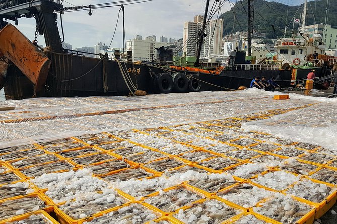 Busan Shore Excursion; Private City Tour - Gamcheon Culture Village: Color and wartime history