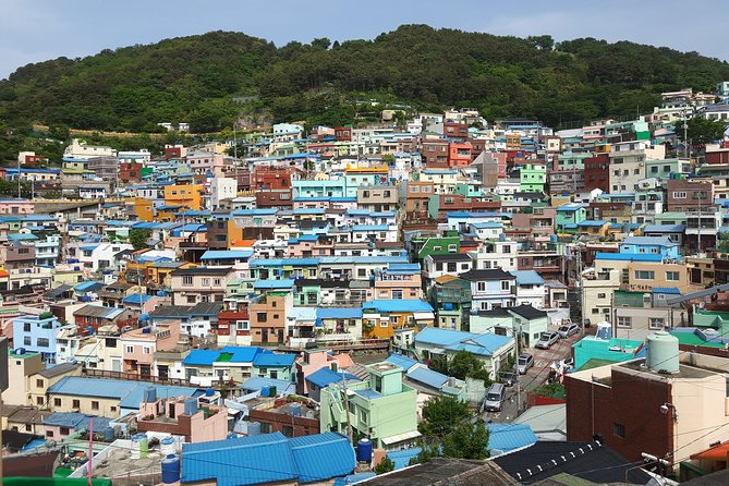 Busan Shore Excursion; Private City Tour - A guide-led day with room to adjust
