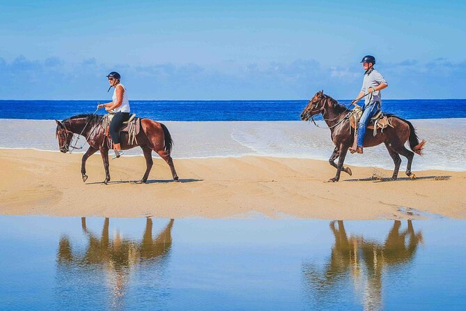 Cabo Shore Excursion: Beach Horseback Ride & Tequila Tasting - From Cabo’s port to the Migrino desert