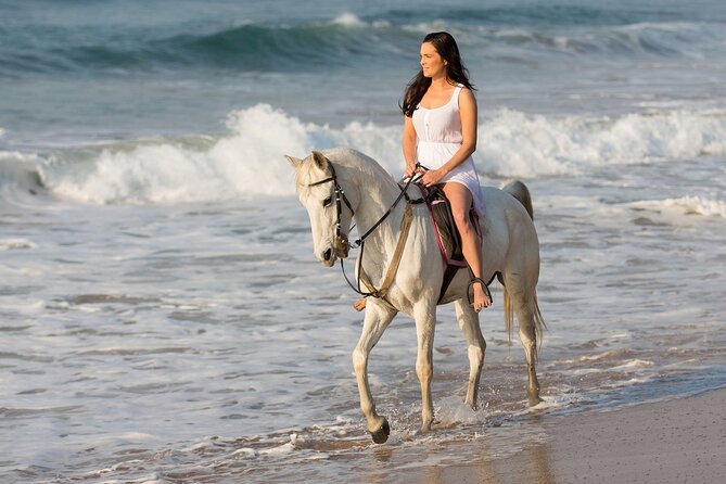 Cabo Shore Excursion: Beach Horseback Ride & Tequila Tasting - Price, park fee, and the add-ons