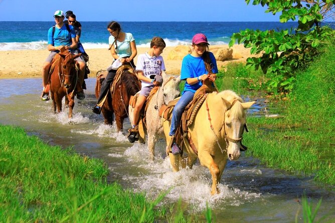 Cabo Shore Excursion: Beach Horseback Ride & Tequila Tasting - Who will enjoy this ride most?