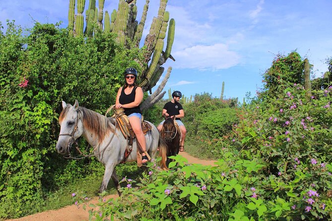 Cabo Shore Excursion: Beach Horseback Ride & Tequila Tasting - Practical details that make the day easier