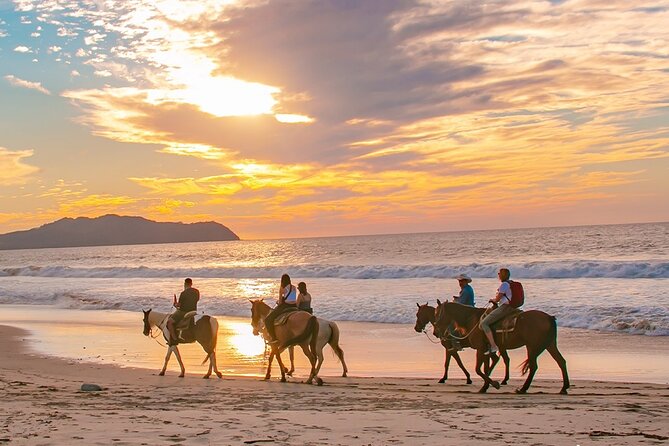 Cabo Shore Excursion: Beach Horseback Ride & Tequila Tasting - Crossing cacti, ridges, and open desert