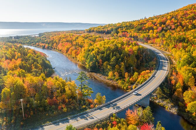 Cabot Trail Bus Tour for Cruise Excursion - Food stops and the practical pace of the day