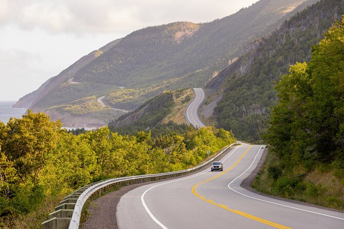 Cabot Trail Bus Tour for Cruise Excursion - Meeting your guide at Sydney’s cruise port