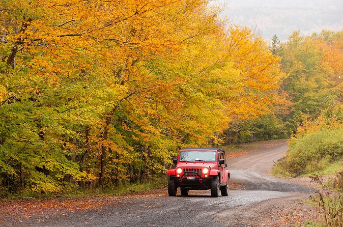 Cabot Trail Jeep Adventure - Cruise Excursion - Who will get the most from this excursion