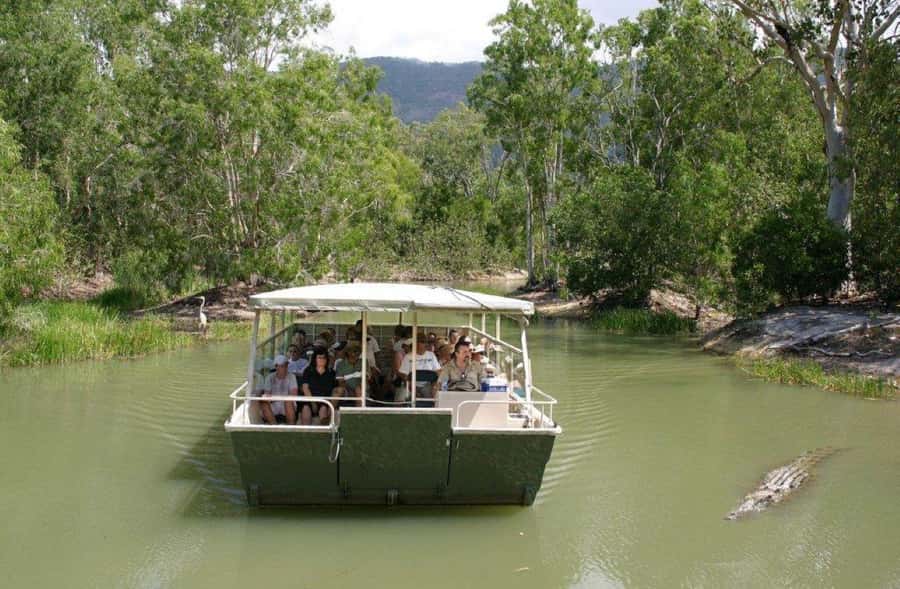 Cairns Shore Excursion: Crocodile & Wildlife Park Tour - Walking through woodland and rainforest habitats