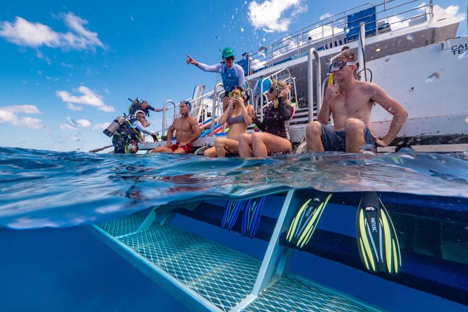 Calypso Outer Great Barrier Reef Cruise from Port Douglas - Key points to know before booking