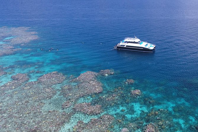 Calypso Outer Great Barrier Reef Cruise from Port Douglas - Three Outer Reef sites from Port Douglas