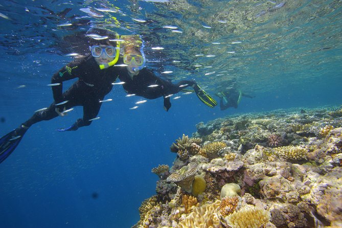 Calypso Outer Great Barrier Reef Cruise from Port Douglas - Lunch, reef talks, and the third water session