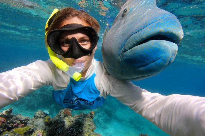 Calypso Outer Great Barrier Reef Cruise from Port Douglas - Scuba options for first-timers and certified divers