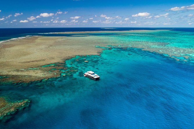 Calypso Outer Great Barrier Reef Cruise from Port Douglas - What the $227.37 price includes