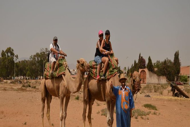 Camel riding in Agadir for Cruise ship Passengers - Aghroud village and the eucalyptus route