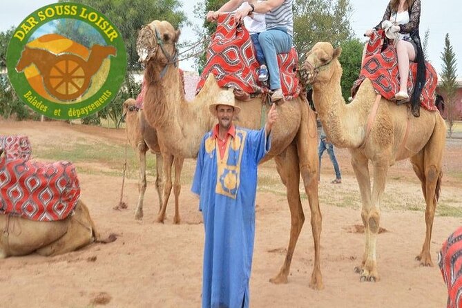 Camel riding in Agadir for Cruise ship Passengers - Mint tea and Moroccan cakes at the ranch