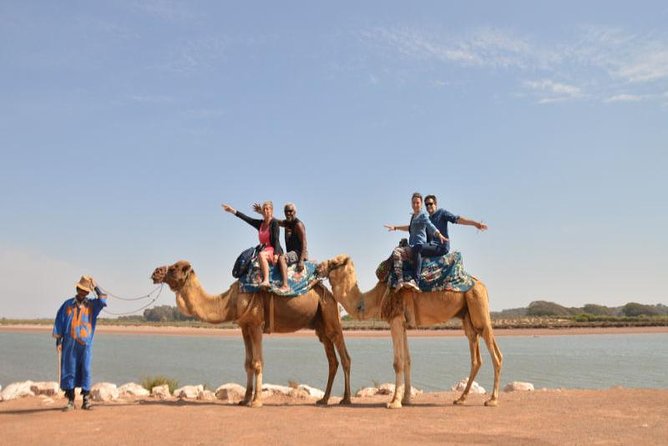 Camel riding in Agadir for Cruise ship Passengers - What the $39.68 price really covers