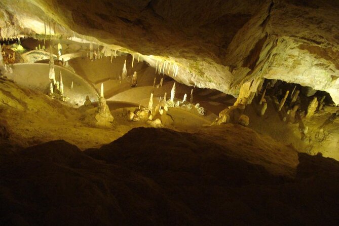 Can Marçà Cave and San Miguel Town Private Tour - Shore Excursion - Is the $602.39 price reasonable?