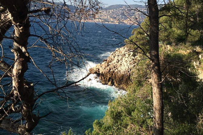 Cannes Large Group Shore Excursion with a Minibus 15 seater - Price, group size, and real value