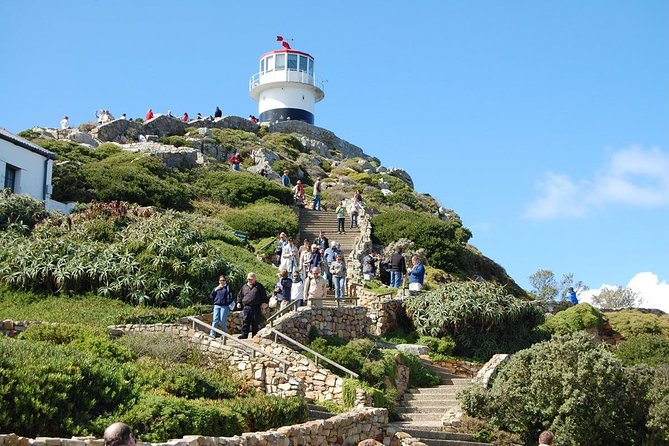 Cape Town Shore Excursion: Private Small Group Cape Peninsula - A full Cape Peninsula loop in one day