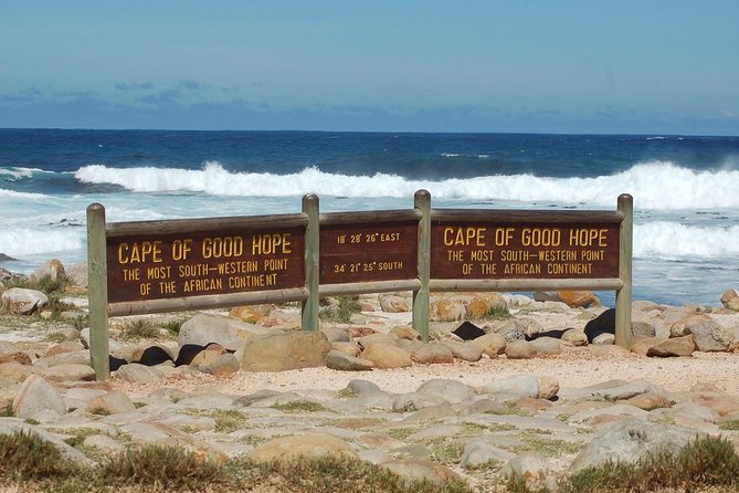 Cape Town Shore Excursion: Private Small Group Cape Peninsula - Hout Bay and the optional seal trip