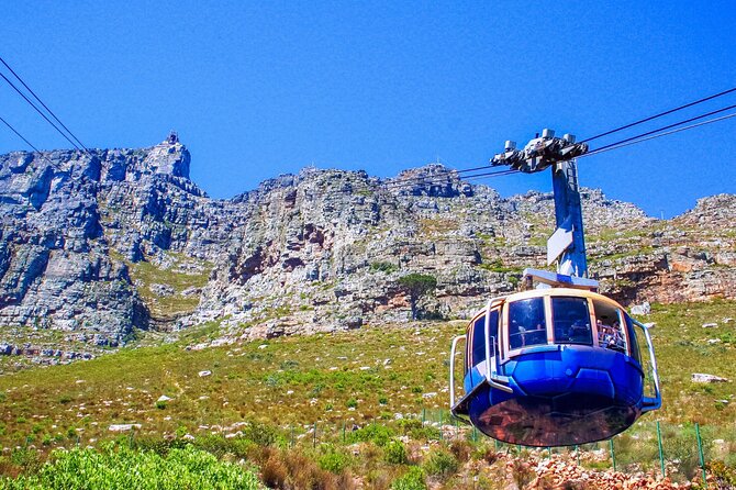 Cape Town Shore Tour: Table Mountain, Penguin & Cape Point - Table Mountain: the day’s biggest weather gamble
