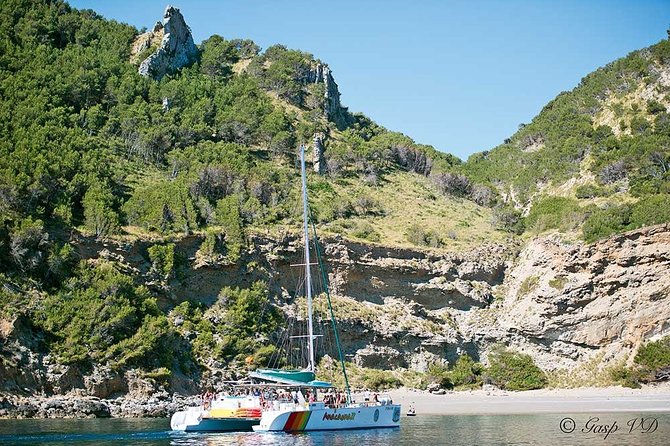 Catamaran Cruise from Port d'Alcudia with Lunch and Swim Stop - Who should book this Alcudia cruise?