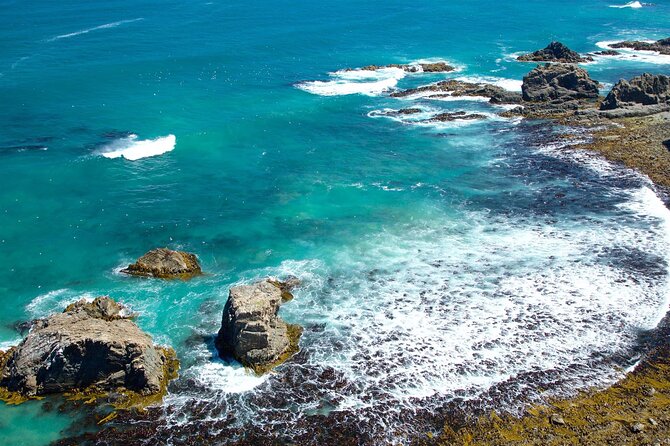 Catlins Cruiser Private Tour from Dunedin Cruise Port - Is $297 per person fair value?