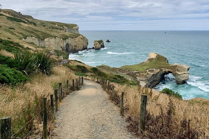 Catlins Cruiser Private Tour from Dunedin Cruise Port - Awakiki Bush Track in the Catlins