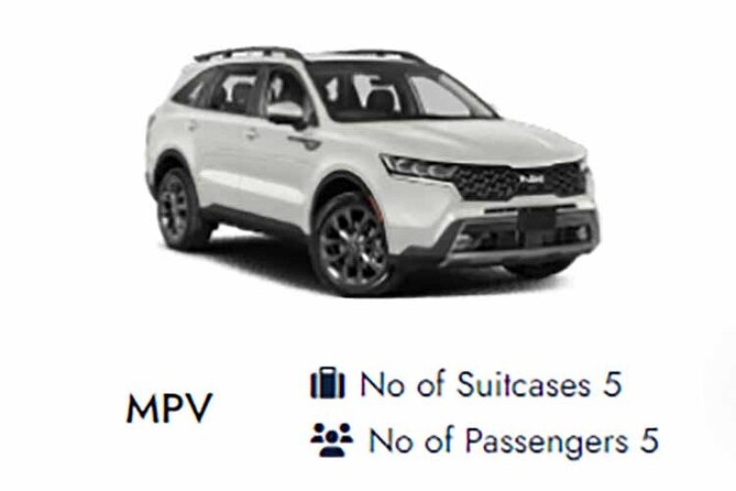 Central London to Southampton Cruise Port Private transfers - Who should book this transfer