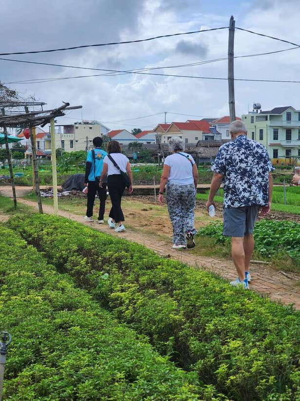Chan May port/ Tien Sa port Tour Da Nang & Hoi An Highlights - Is $115 a fair price?