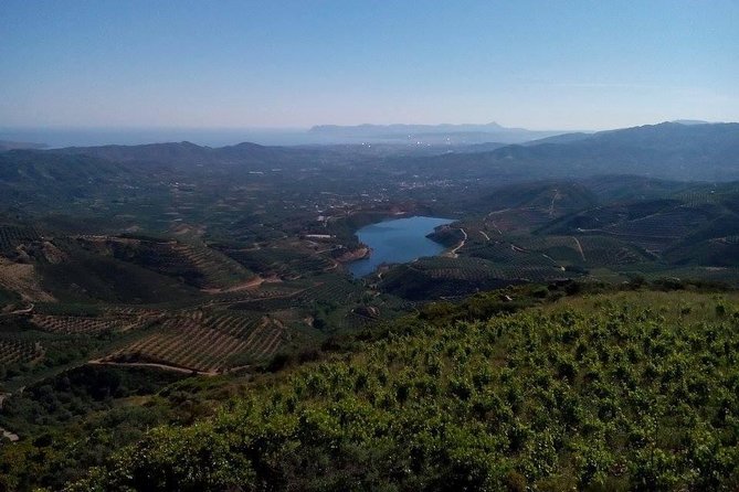 Chania Shore Excursion Off Road Vineyard and Winery Tour Half Day - What to expect at Manousakis Winery