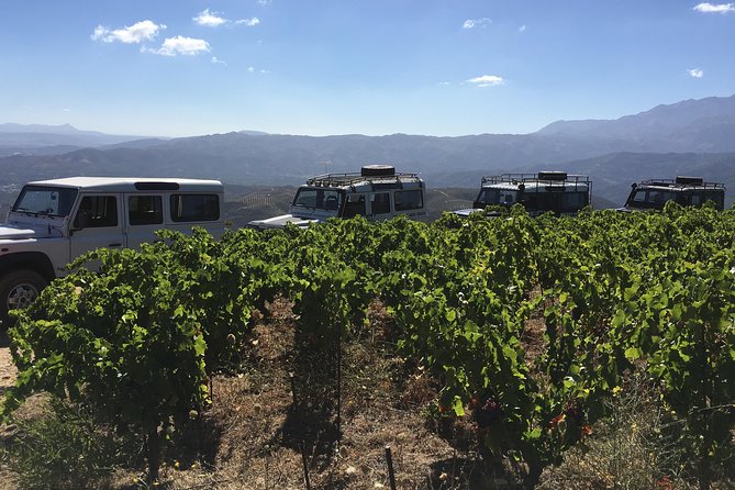 Chania Shore Excursion Off Road Vineyard and Winery Tour Half Day - Who should book this Crete excursion