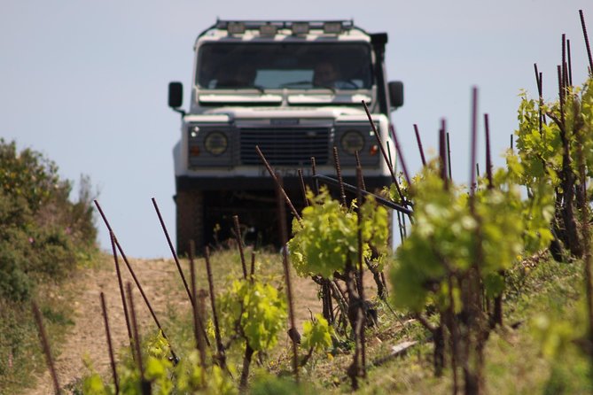 Chania Shore Excursion Off Road Vineyard and Winery Tour Half Day - Timing, weather, and cancellation details