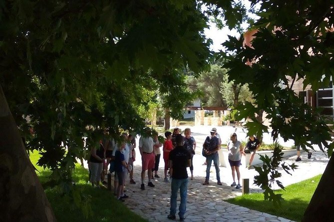 Chania Shore Excursion Off Road Vineyard and Winery Tour Half Day - Is the Vatolakos and Manousakis tour worth booking?