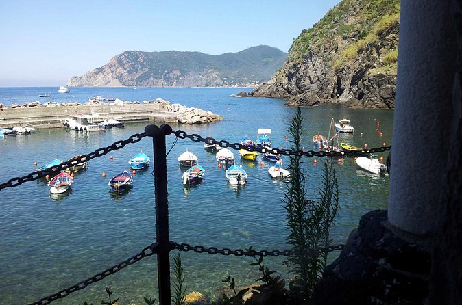 Cinque Terre Private Tour by Minivan and Ferry-Boat Shore excursion from Livorno - Manarola and the coastal views