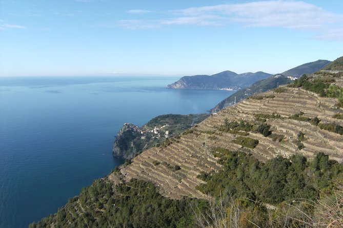 Cinque Terre Shore Excursions from Livorno Port - Boat travel, trains, and the best way to see the coast