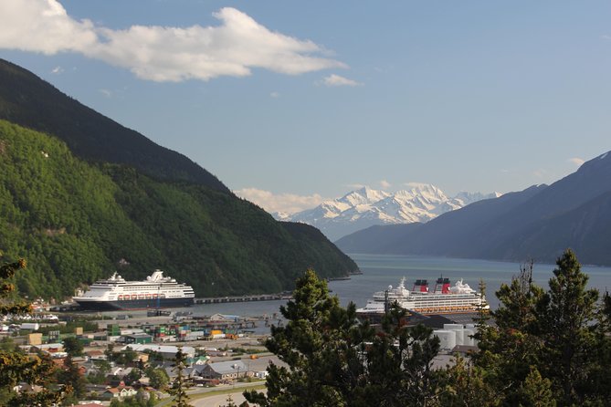 City and Mountain Summit Shore Excursion in Skagway - Key points to know before booking