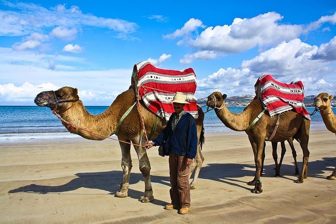 City Break Tangier for cruisers - The Kasbah is where the walking becomes serious