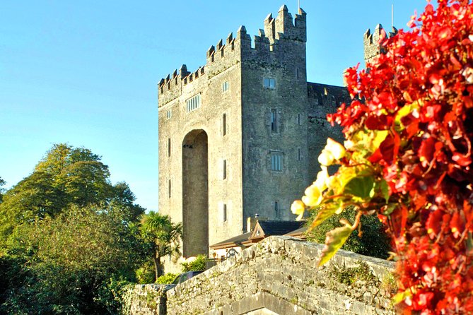 Cliffs of Moher, Galway - Private Shore Excursion - Galway in 90 minutes