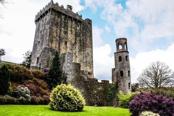Cobh cruise excursion, Blarney, Cork & Kinsale. Car or Minibus. - Cork’s English Market and St Fin Barre’s Cathedral