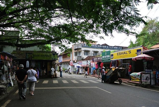 Cochin City or Backwater Shore Excursions from Cruise Terminal - Key points to know before booking