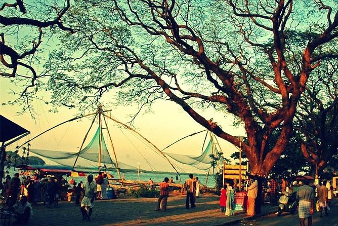 Cochin City or Backwater Shore Excursions from Cruise Terminal - The cruise-port meeting and road journey