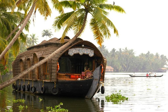 Cochin City or Backwater Shore Excursions from Cruise Terminal - Chinese fishing nets at Fort Kochi