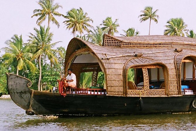 Cochin (Kochi) Shore Excursions from Cruise Terminal Ships Pier - Choosing between Kochi’s two main tour styles