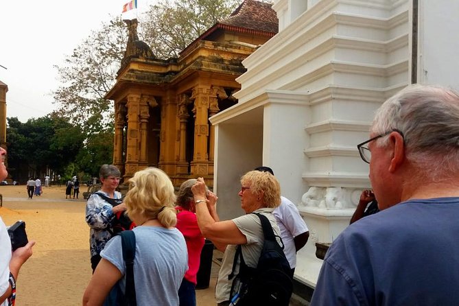 Colombo City Tour (small group with pickup from Cruise ship) - The National Museum is optional, and often skipped