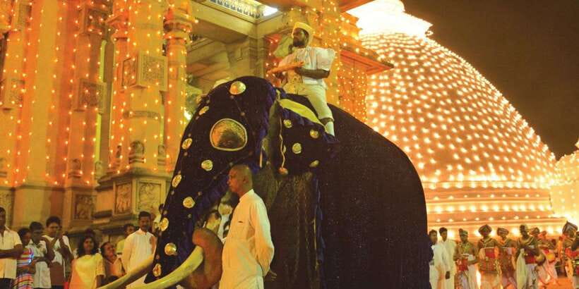 Colombo Port Shore Excursions Colombo City & Kalaniya Temple - Meeting your driver at Colombo Port