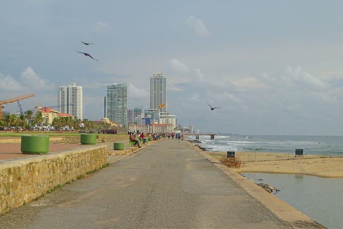 Colombo Shore Excursion from Cruise Port – Private Small Group - A practical introduction to Colombo from the cruise dock