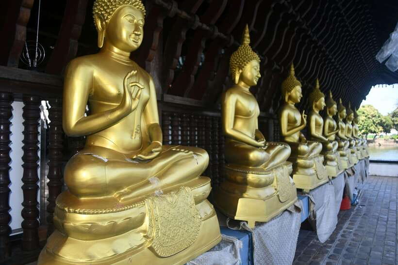 Colombo Shore Excursion, History Legacy and hidden gems - A photo stop at Bandaranaike Memorial Hall