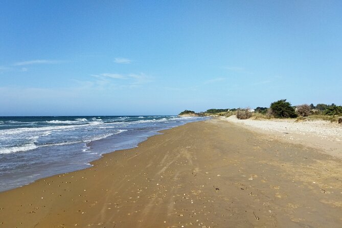 Corfu’s Best Beaches: Private Tour to Paleokastritsa & Glyfada - What the driver service is like