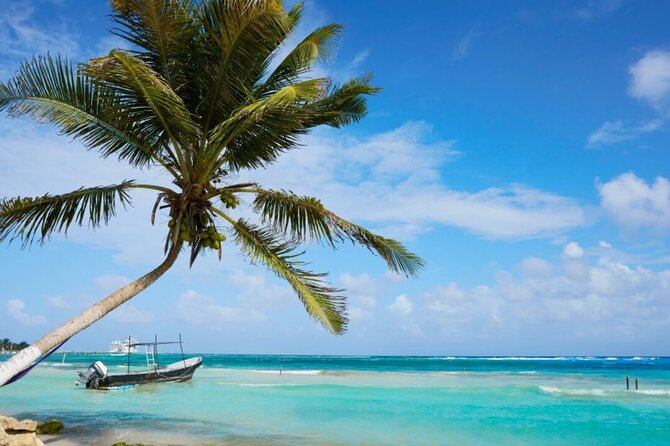 Costa Maya All Included Beach Break from Cruise Port - Lunch that works for mixed groups