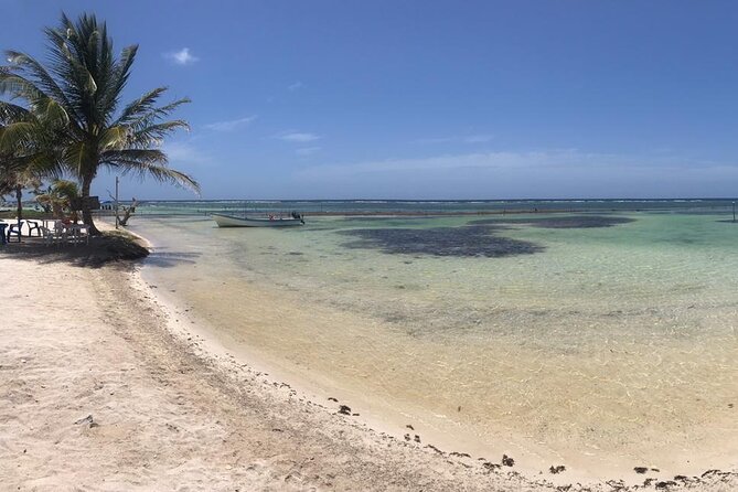 Costa Maya Beach Break All Inclusive From Port - Who should book this beach break?
